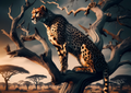 Canvas Wall Art Home Decor - Cheetah In The Savannah