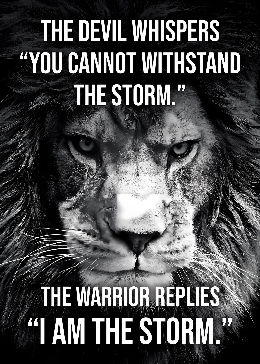 Motivational Canvas Wall Art - I Am The Storm