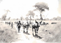 Canvas Wall Art Home Decor - Nguni Cow Herd